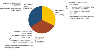 The landscape of cancer-associated transcript fusions in adult brain tumors: a longitudinal assessment in 140 patients with cerebral gliomas and brain metastases
